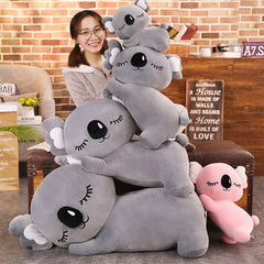 Joey & Kloe The Koala Lovers