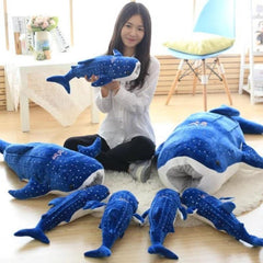 Whale Shark Family