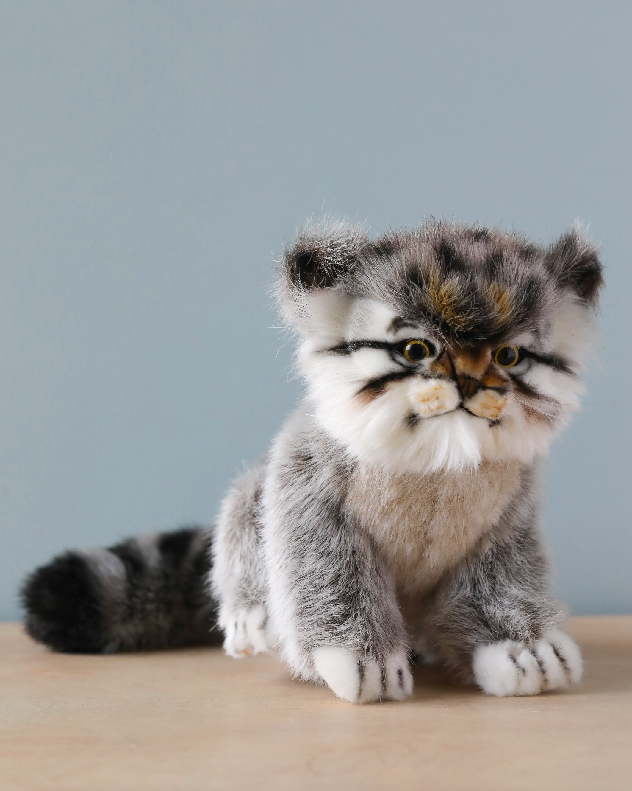 Pallas Kitten Stuffed Animal