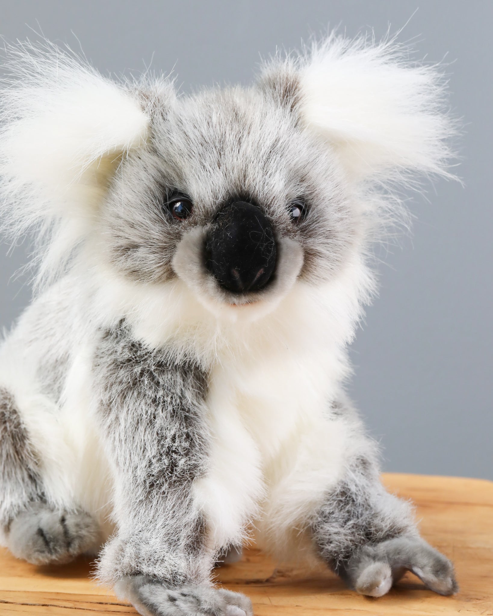 Baby Koala Stuffed Animal