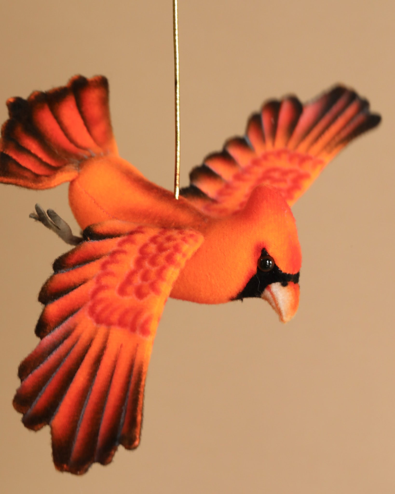 Cardinal Flying Bird