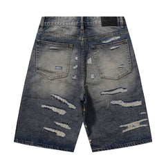LOST SHDWS Vintage Wash Floral Embroidered Denim Shorts