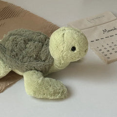 Tank the Fluffy Turtle Plush