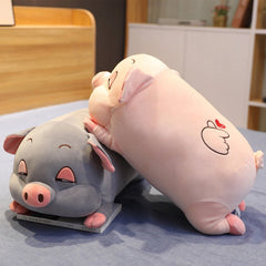 Chum Chums Collection