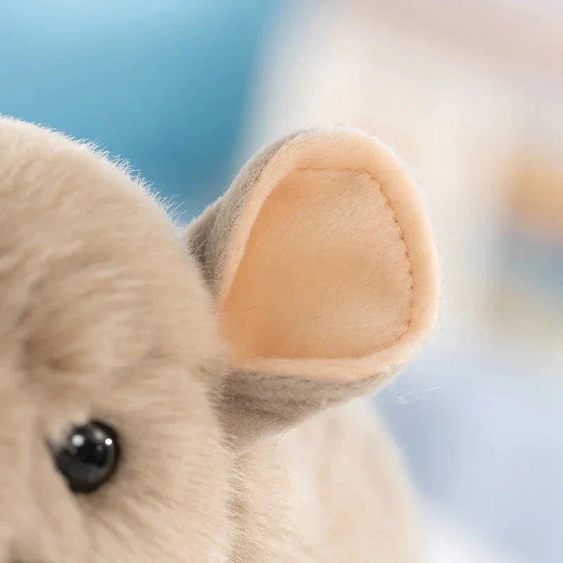 Didi the Kawaii Chinchilla Plushie