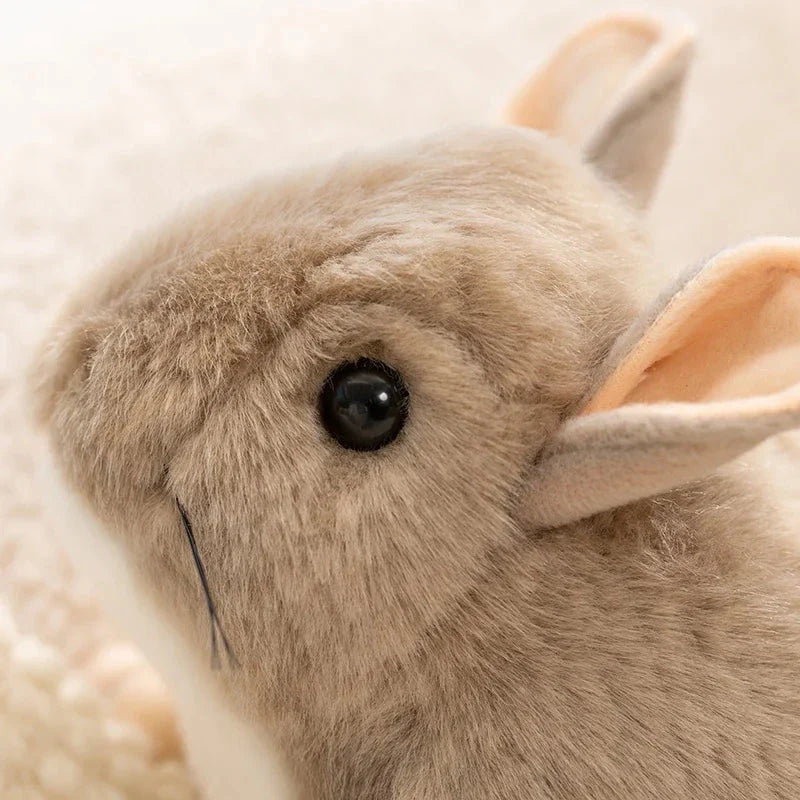 Didi the Kawaii Chinchilla Plushie