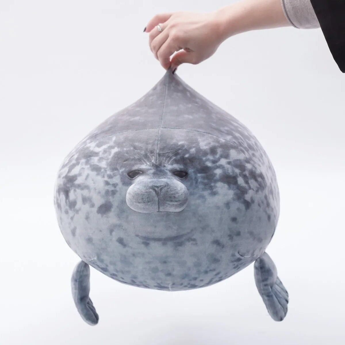 Lazy Chubby Seal
