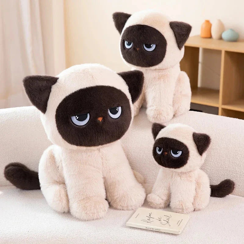 Momo the Sitting Kawaii Siamese Cat