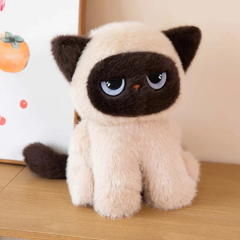 Momo the Sitting Kawaii Siamese Cat