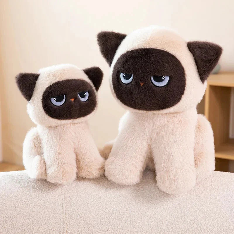 Momo the Sitting Kawaii Siamese Cat