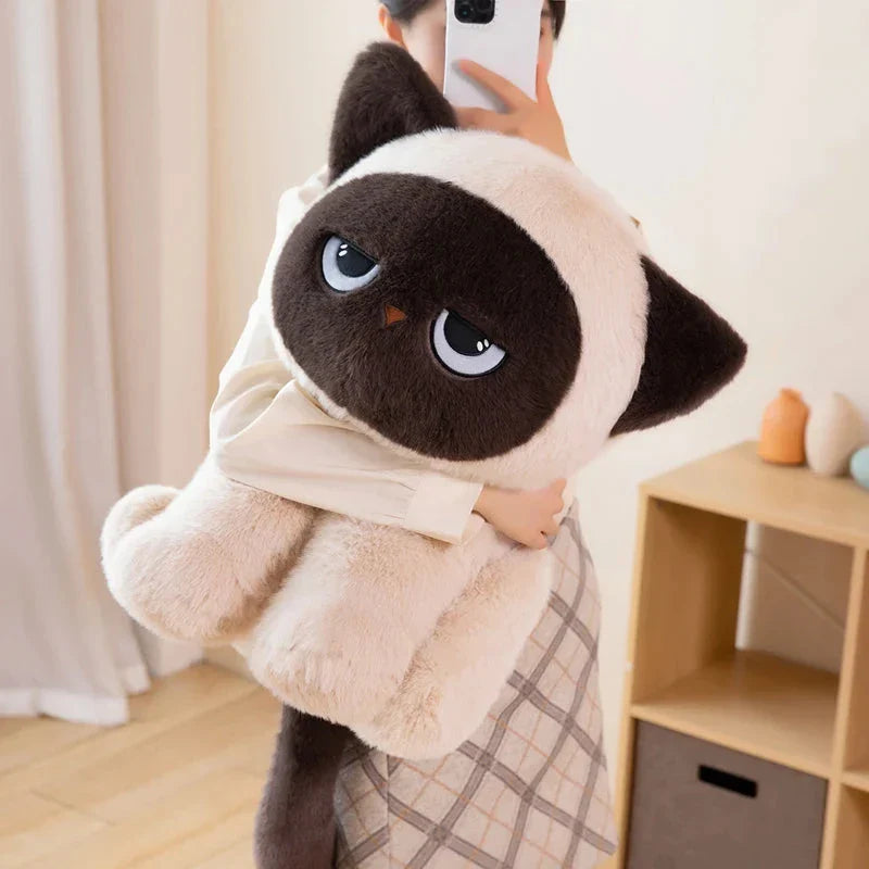 Momo the Sitting Kawaii Siamese Cat