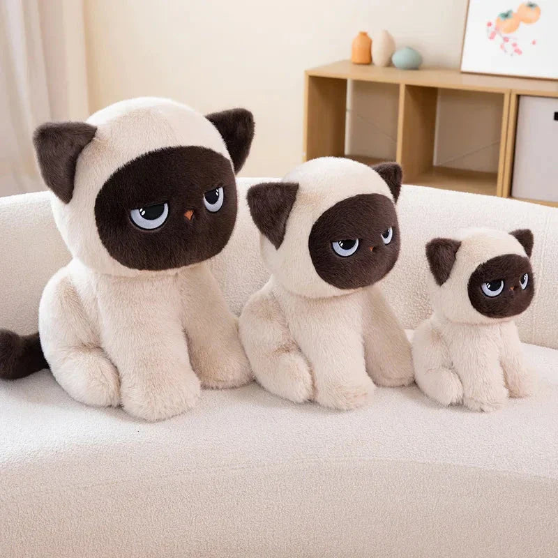 Momo the Sitting Kawaii Siamese Cat