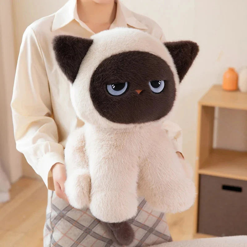 Momo the Sitting Kawaii Siamese Cat