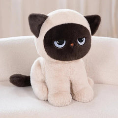 Momo the Sitting Kawaii Siamese Cat