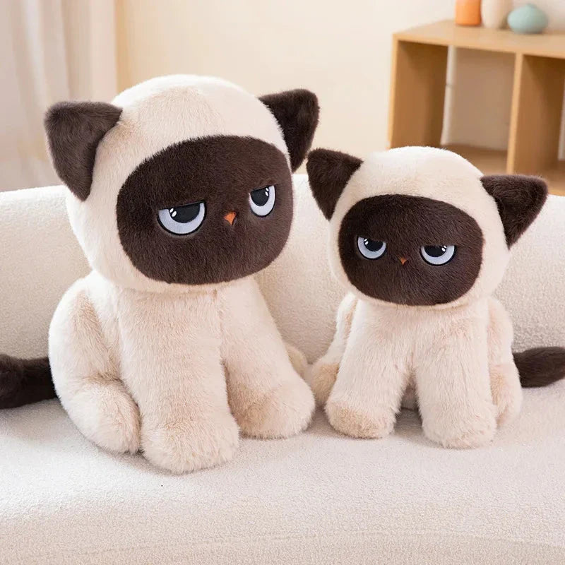 Momo the Sitting Kawaii Siamese Cat