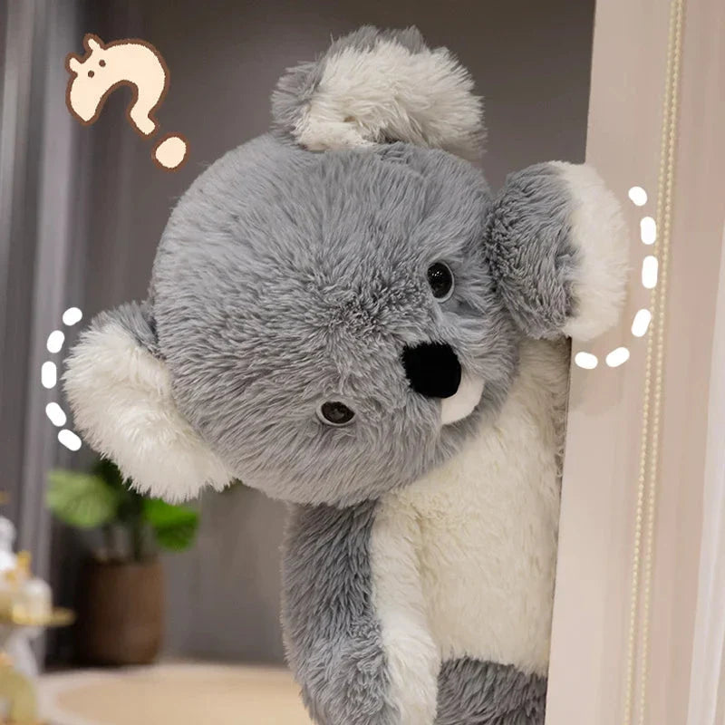Poko the Giant Koala Plushie